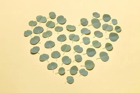 Creative heart pattern from leaves of Eucalyptus plant on a sand yellow ba... Stock Photos