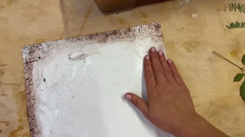 A creative herbarium project showing the full process of preserving and arrangin Stock Footage 314877115