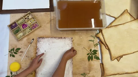 A creative herbarium project showing the full process of preserving and arrangin Stock Footage 314877299