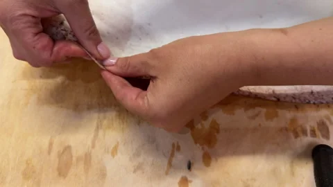 A creative herbarium project showing the full process of preserving and arrangin Stock Footage 314877583