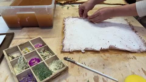 A creative herbarium project showing the full process of preserving and arrangin Stock Footage 314878401