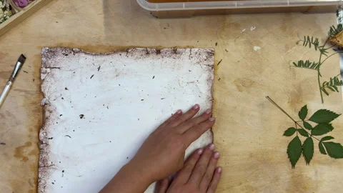 A creative herbarium project showing the full process of preserving and arrangin Stock Footage 314878477