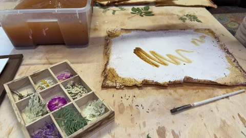 A creative herbarium project showing the full process of preserving and arrangin Stock Footage 314879013