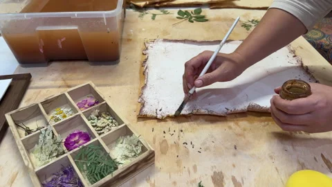 A creative herbarium project showing the full process of preserving and arrangin Stock Footage 314879194