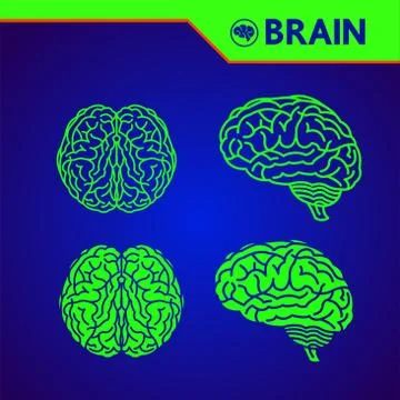 The creative human brain grand vector illustration. Stock Illustration