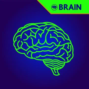 The creative human brain grand vector illustration. 库存插图