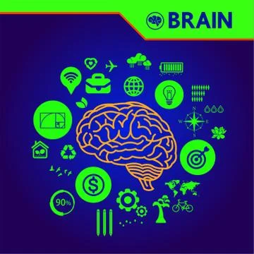 The creative human brain grand vector illustration. 库存插图