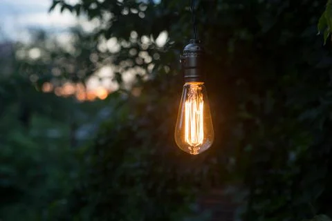 Creative idea concept - lonely retro bulb glow in the garden Stock Photos