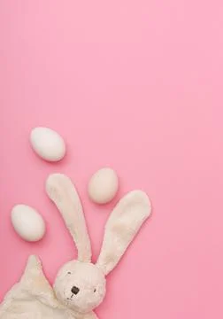 Creative idea of flat lay realized with a fluffy rabbit and eggs on a pastel  Stock Photos