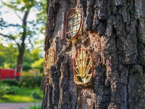Creative idea of tree decoration in a park. Stock Photos