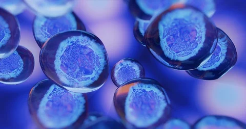 Creative image of embryonic stem cells Stock Footage 119009989