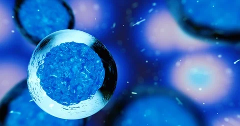 Creative image of embryonic stem cells Stock Footage 120926405