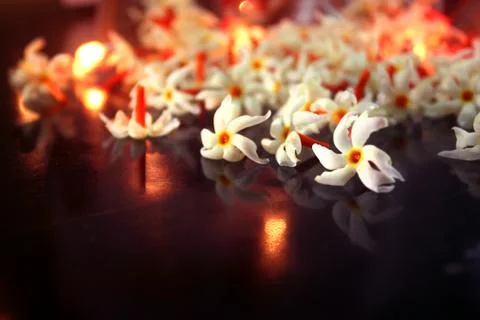 Creative image of Night jasmine or parijat flowers . Stock Photos