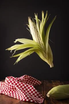 Creative image of raw white corn on the cob levitating on wooden rustic table Stock Photos