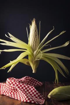 Creative image of raw white corn on the cob levitating on wooden rustic table Stock Photos