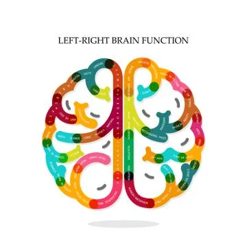Creative infographics left and right brain function idea Stock Illustration