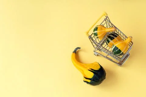 Creative layout of autumn decorative pumpkins in the shopping cart Fotos Stock