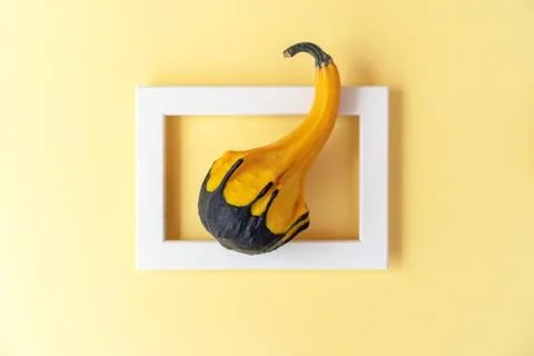 Creative layout of autumn pumpkin with yellow background in the frame. Stock Photos