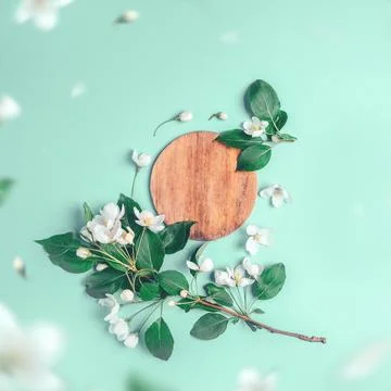 Creative layout with blooming apple tree on a blue background. Flat lay. Co.. Stock Photos