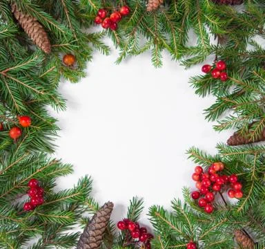 Creative layout of the branches of the Christmas tree with pine cones and pap Stock Photos