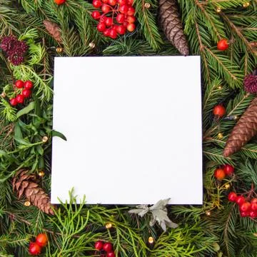 Creative layout of the branches of the Christmas tree with pine cones and pap Stock Photos
