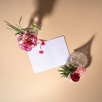Creative layout with bright flowers and green leaves. Stock Photos