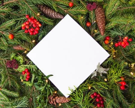 Creative layout of Christmas tree branches with cones, red berries and a pape Stock Photos
