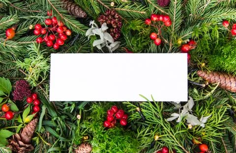Creative layout of Christmas tree branches with cones, red berries and a pape Foto stock