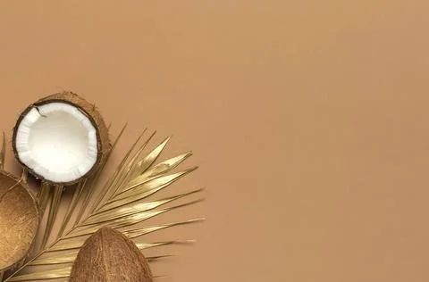 Creative layout with coconuts. Whole and half coconut, golden palm leaf Stock Photos