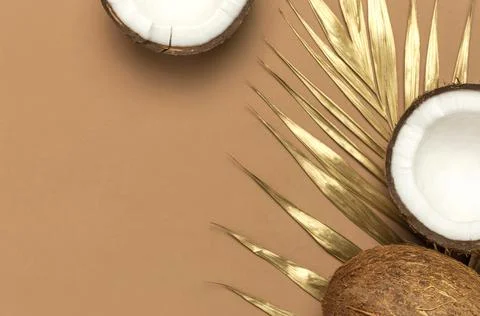 Creative layout with coconuts. Whole and half coconut, golden palm leaf Stock Photos