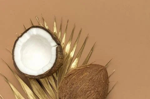 Creative layout with coconuts. Whole and half coconut, golden palm leaf 스톡 사진