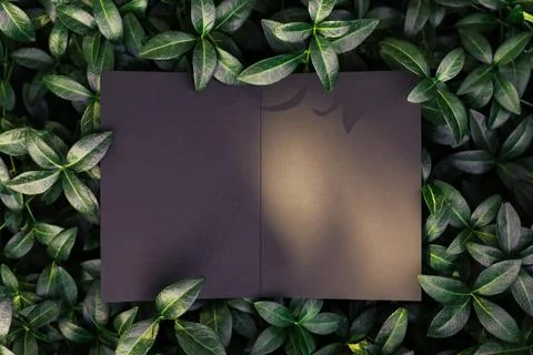 Creative layout composition frame made of green periwinkle leaves with beautiful Stock Photos