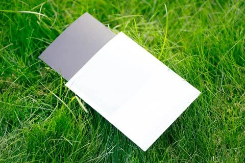 Creative layout composition frame made of green green grass lawn with black and Stock Photos