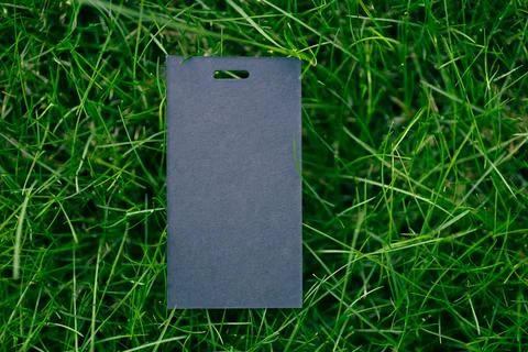 Creative layout composition frame made of green grass lawn with one black price Stock Photos