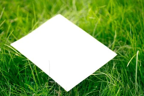 Creative layout composition frame made of green fresh grass with a beautiful Stock Photos