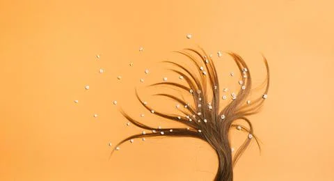 Creative layout concept. Flat lay. Beautiful hair in shape of tree with white Stock Photos