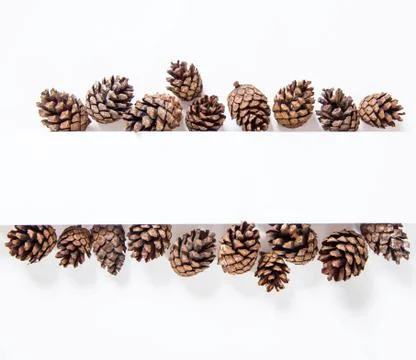 Creative layout of cones. Space for text on a white background. Nature and Ne Stock Photos