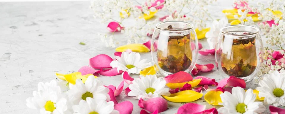 Creative layout of a cup of tea, green tea, decorated fresh flowers on a grey Stock Photos