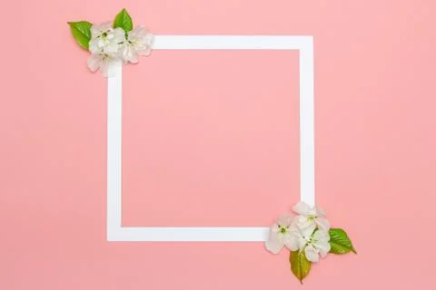 Creative layout flowers and white paper frame. Spring minimal concept. empty Stock Photos