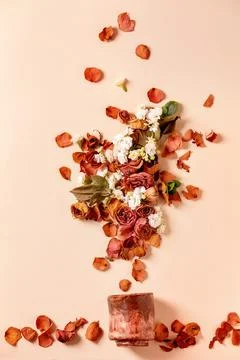 Creative layout with flowers Stock Photos