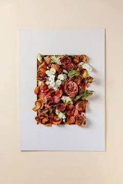 Creative layout with flowers Stock Photos