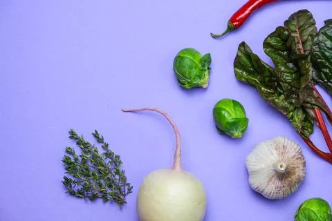 Creative layout. Food background from a set of vegetables Stock Photos
