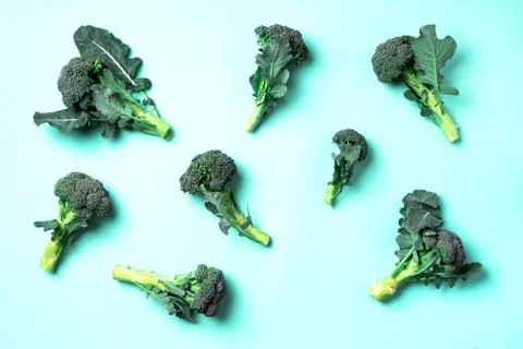 Creative layout of fresh green broccoli on trendy green paper background. Top Stock Photos