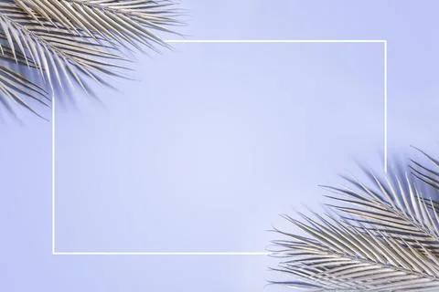 Creative layout with glitter silver palm leaves on blue background Stock Photos