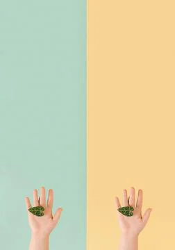 Creative layout with human hands and green leaf. Stock Photos