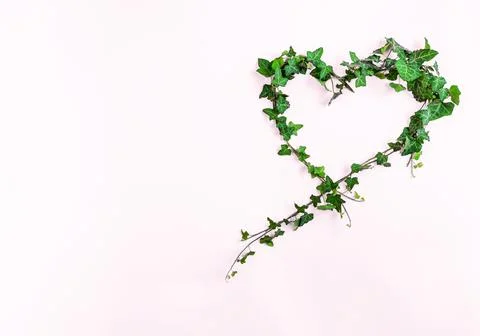 Creative layout made of branches and leaves with copy space. Flat lay Stock-Fotos