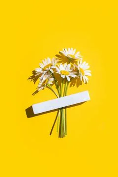 Creative layout made of chamomile flowers on yellow background. Top view Flat Stock Photos