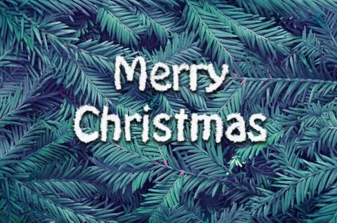 Creative layout made of Christmas tree branches. Flat lay. Nature Christmas c Stock Photos