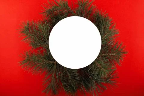 Creative layout made of Christmas tree branches with round paper card note .. Stock Photos