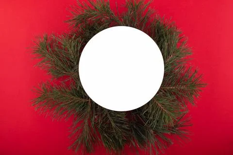 Creative layout made of Christmas tree branches with round paper card note .. Stock Photos